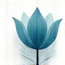 Minimalist icon of a Venus symbol and a flower